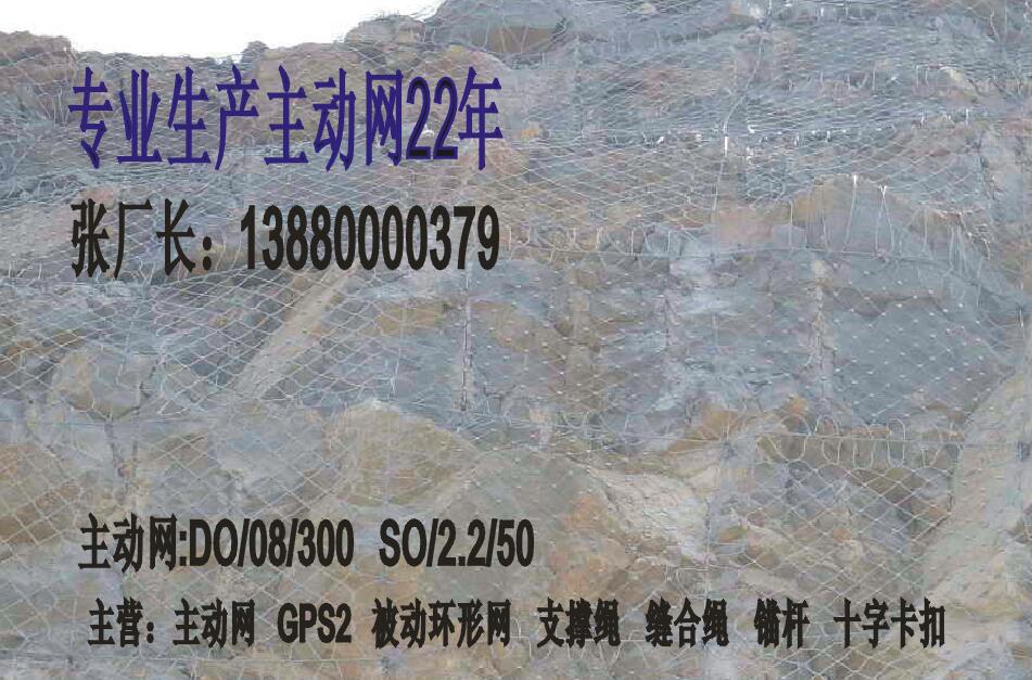 重慶主動防護網(wǎng)，四川質(zhì)量好的GPS2主動防護網(wǎng)